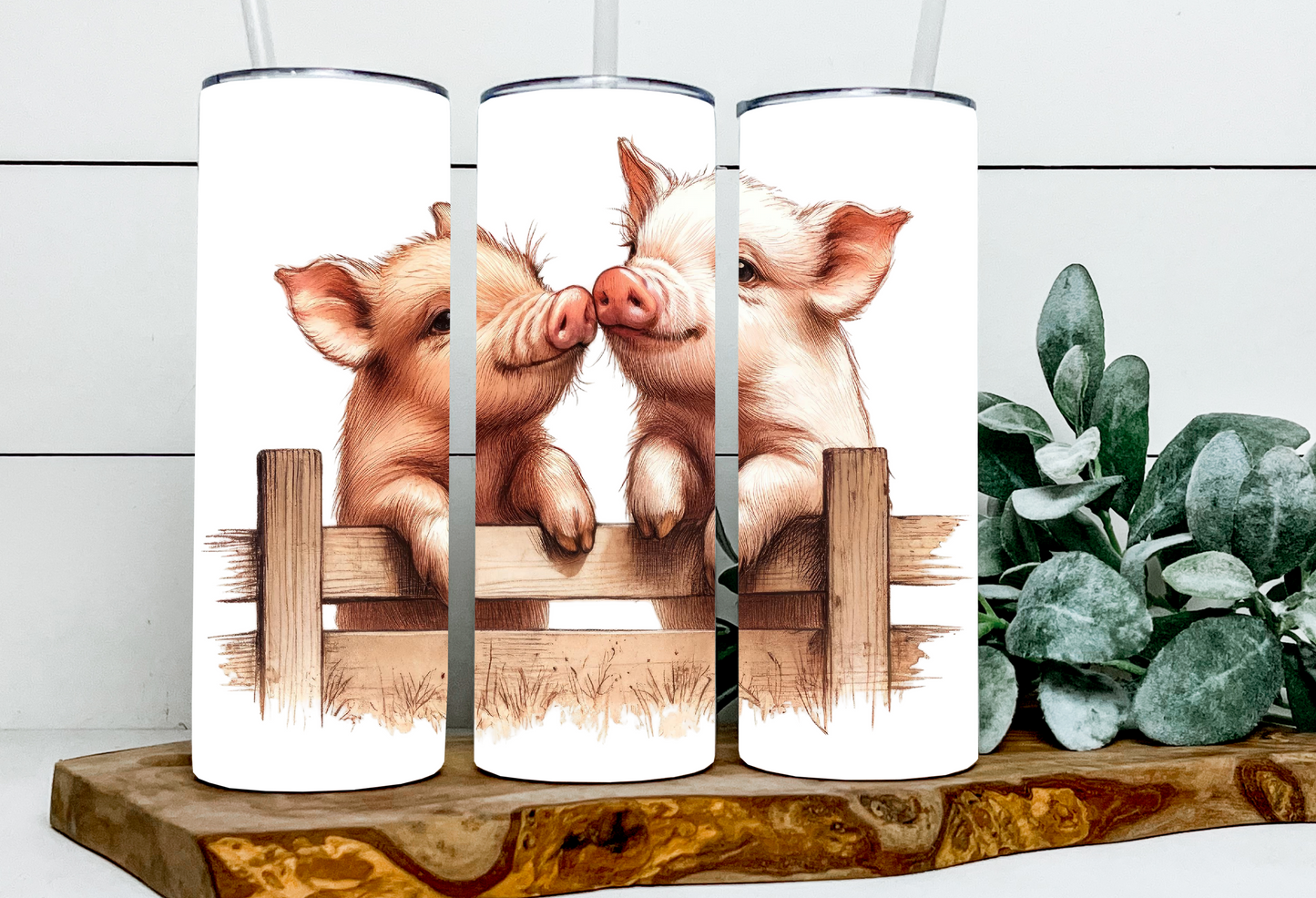 Mini & Snort the Piglets