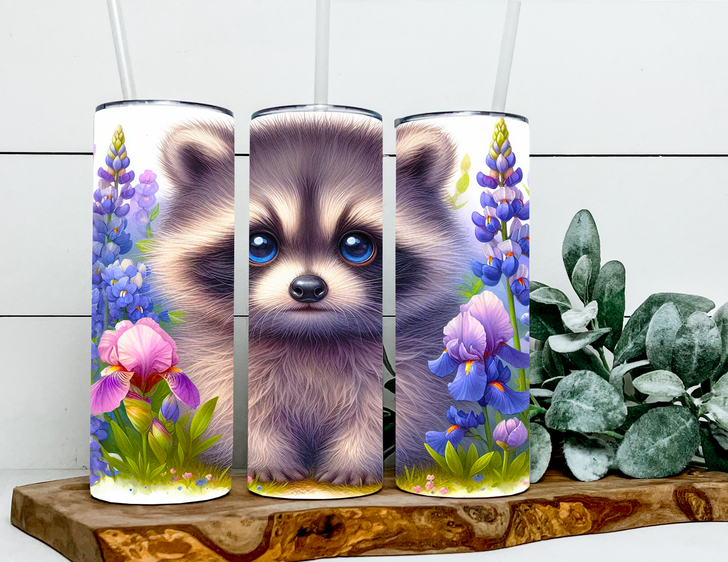 Mia The Raccoon