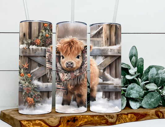 Highland Snow Calf