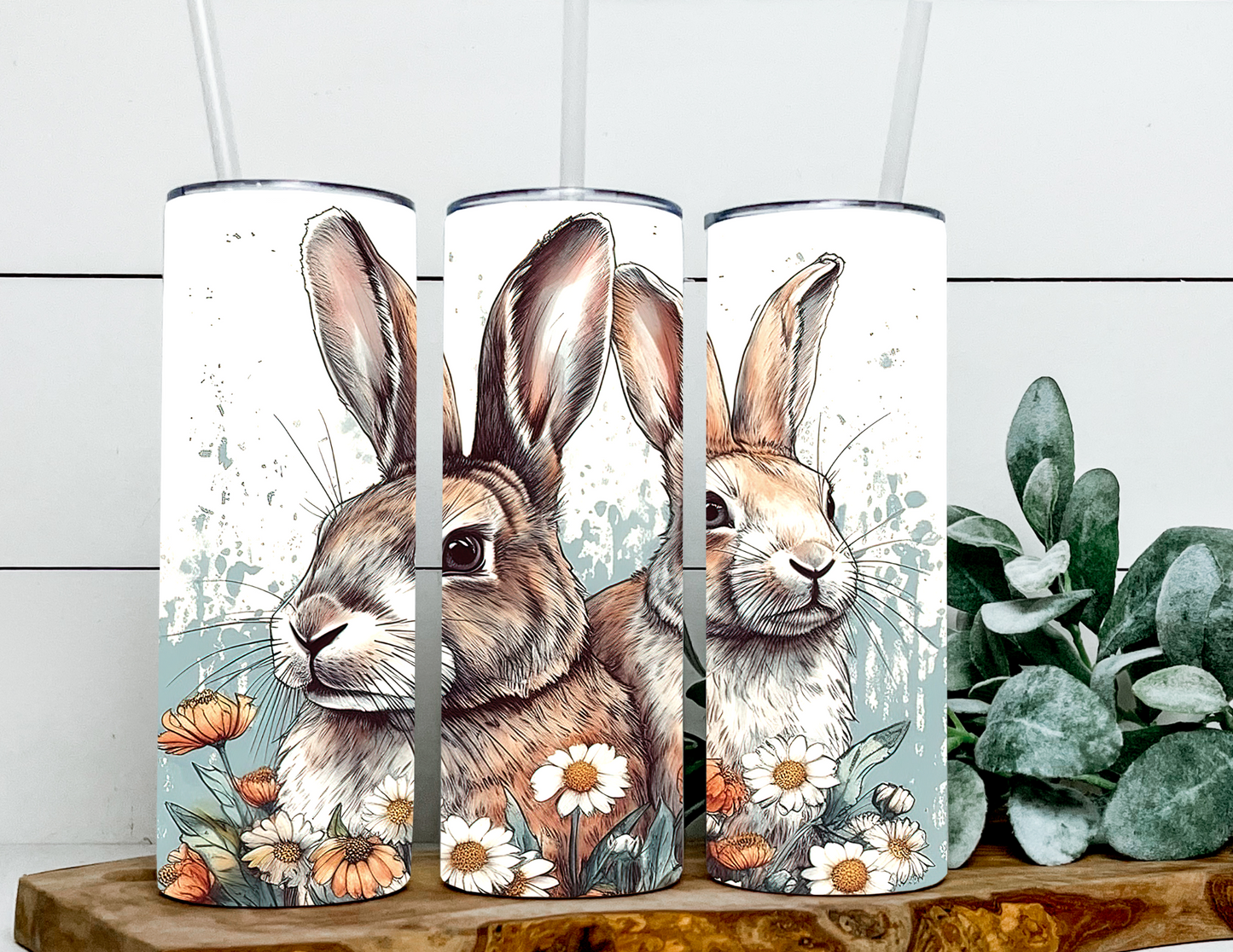 Thad & Chad Spring Bunnies