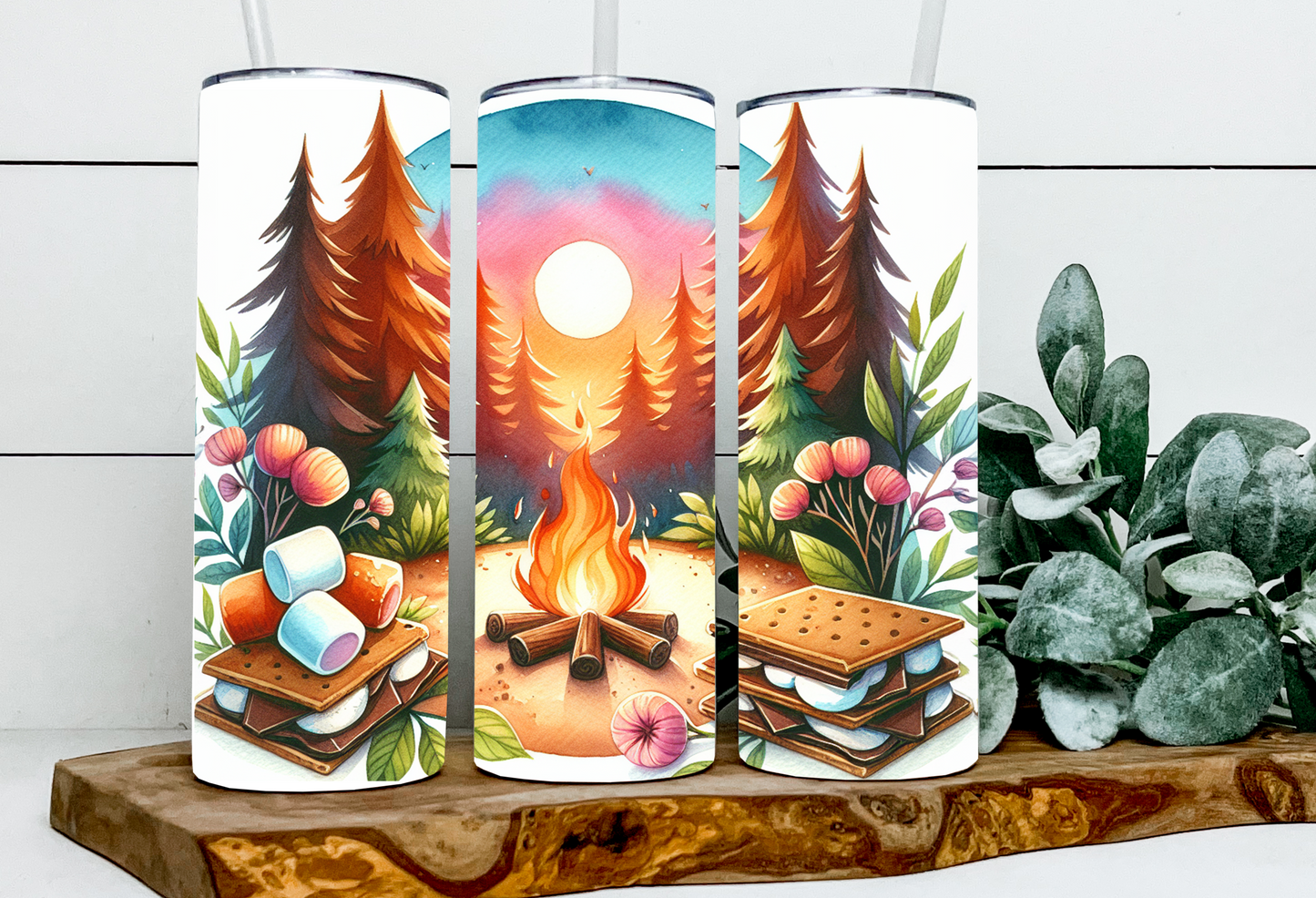 Summer Campfire Smores