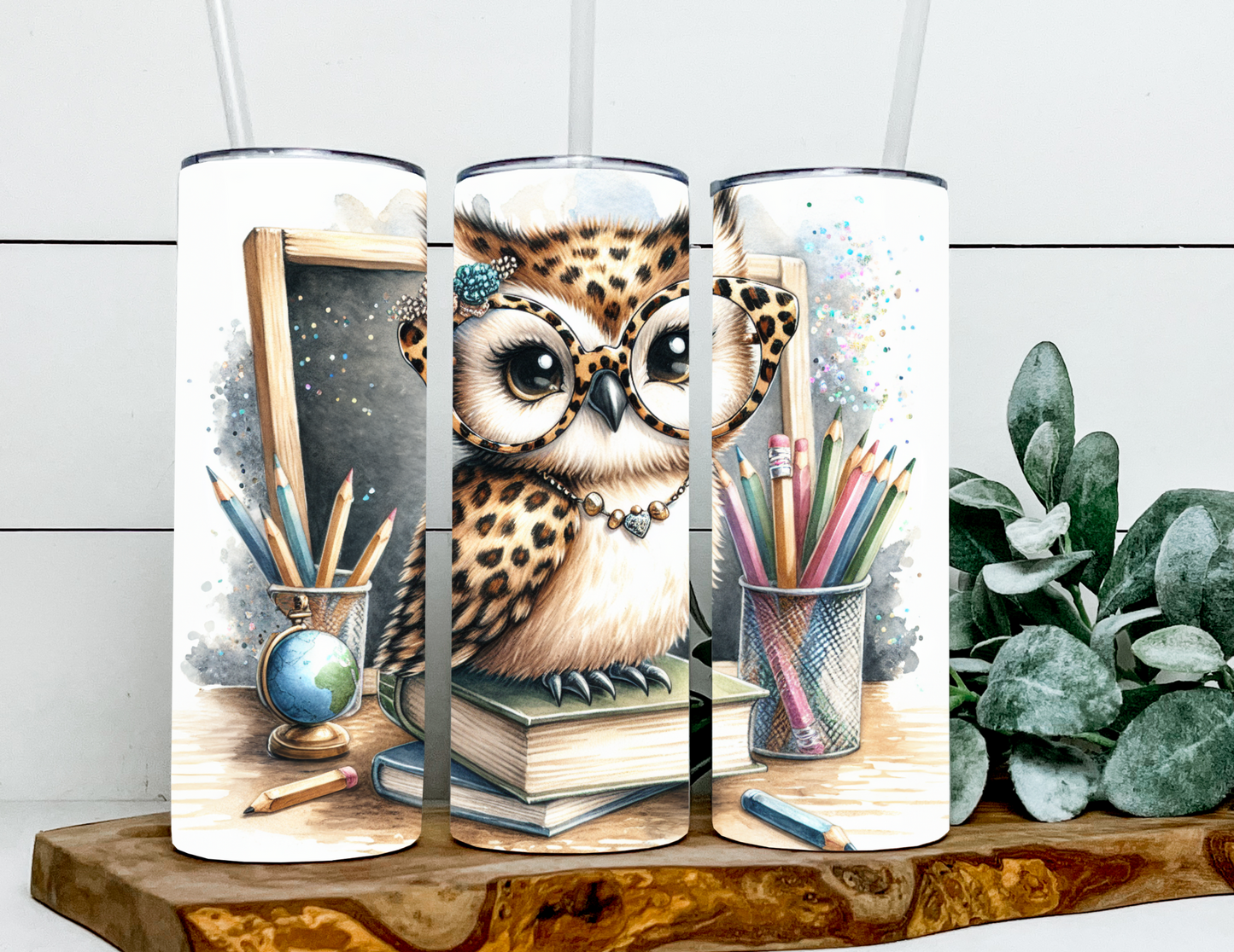 Tabitha the Teacher Owl