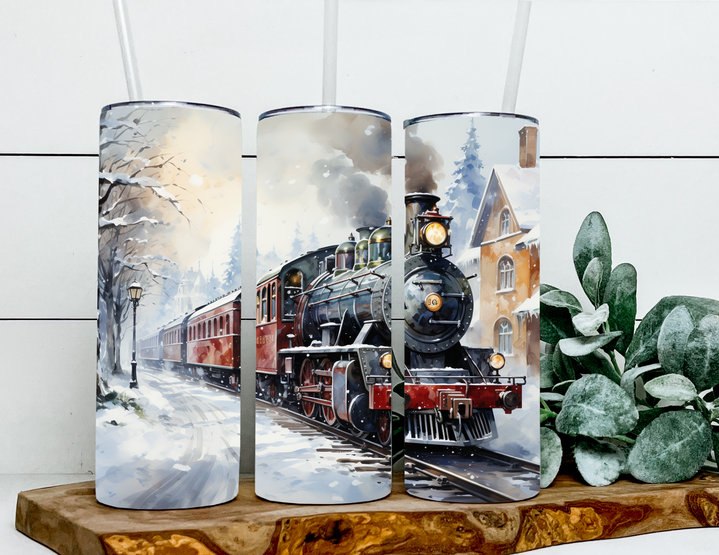 Winter Train