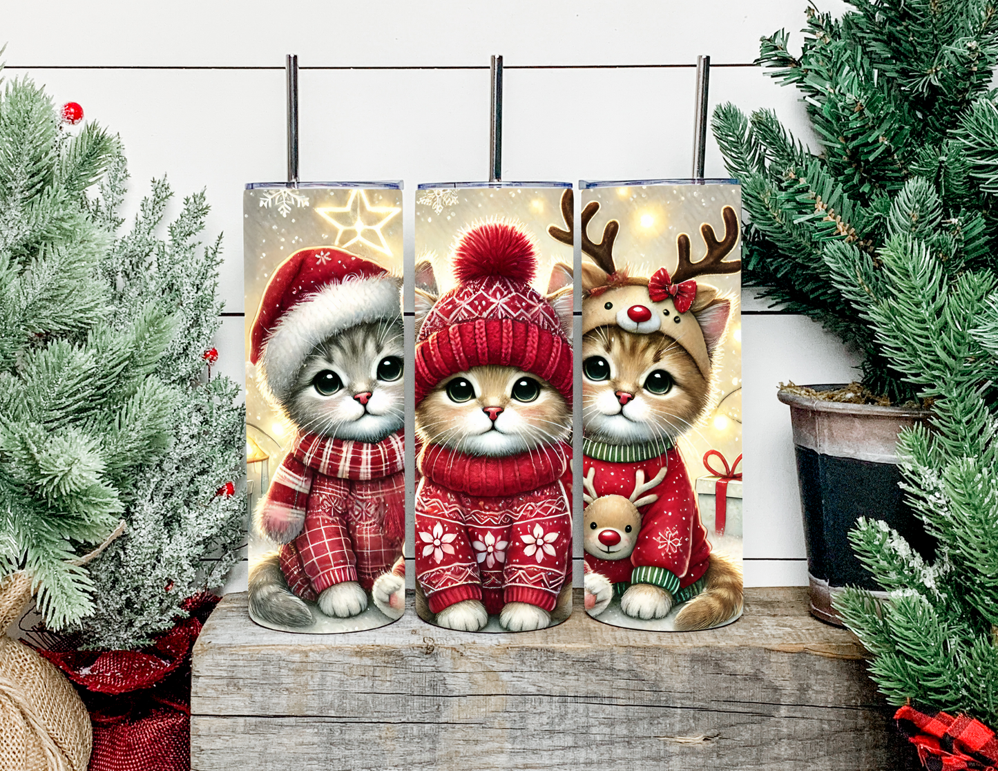 Christmas Cats