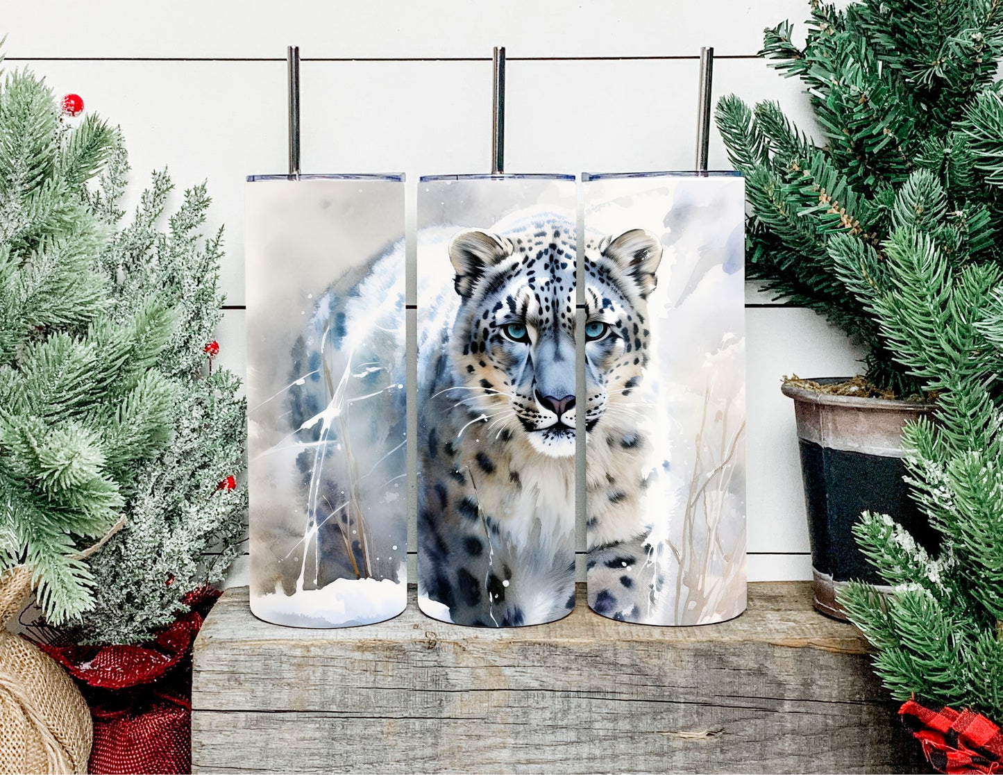 Ghost the Snow Leopard