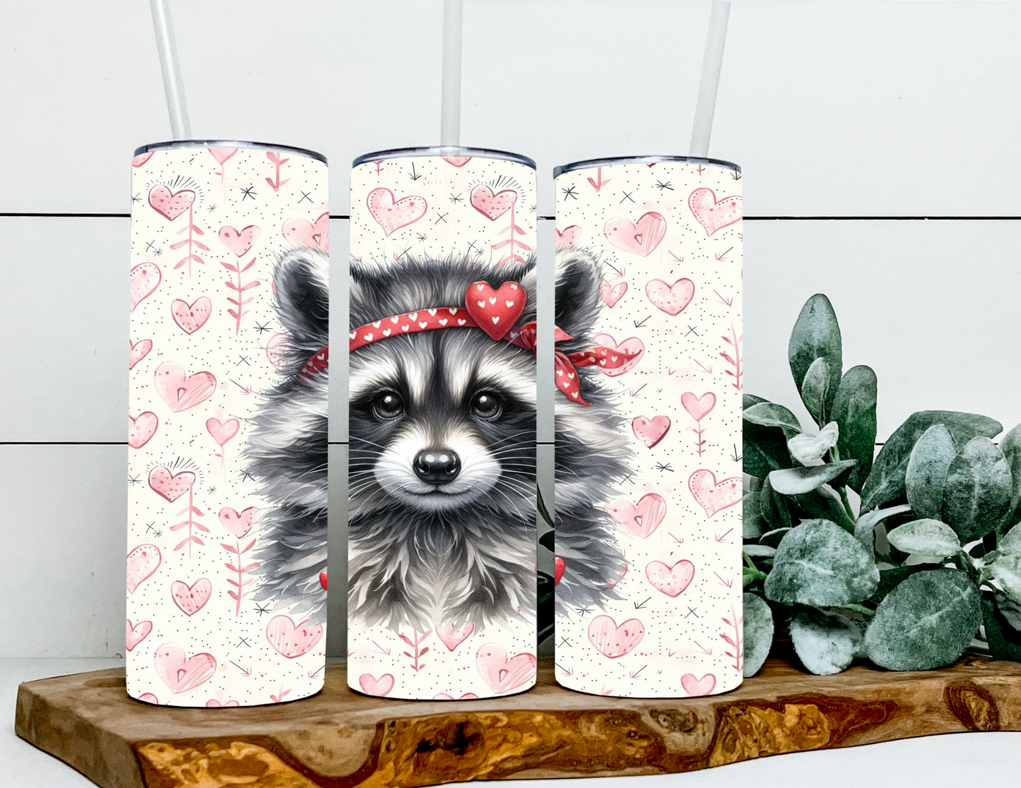 Erika The Valentines Racoon
