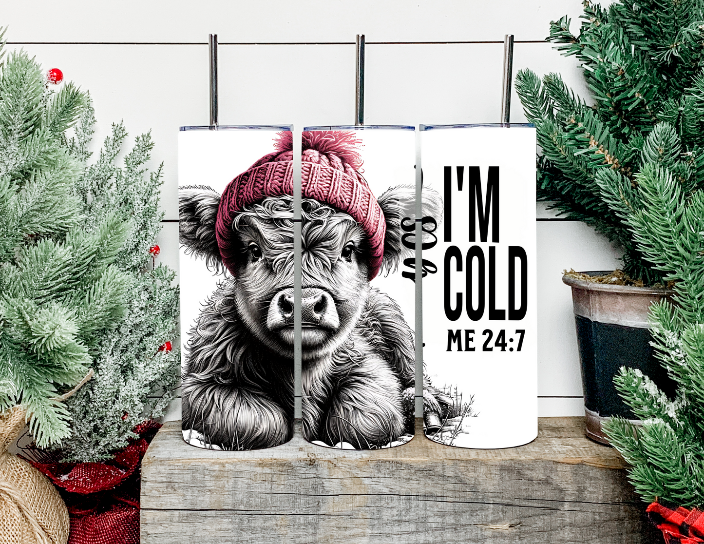 Erin the Yes I'm Cold Highland