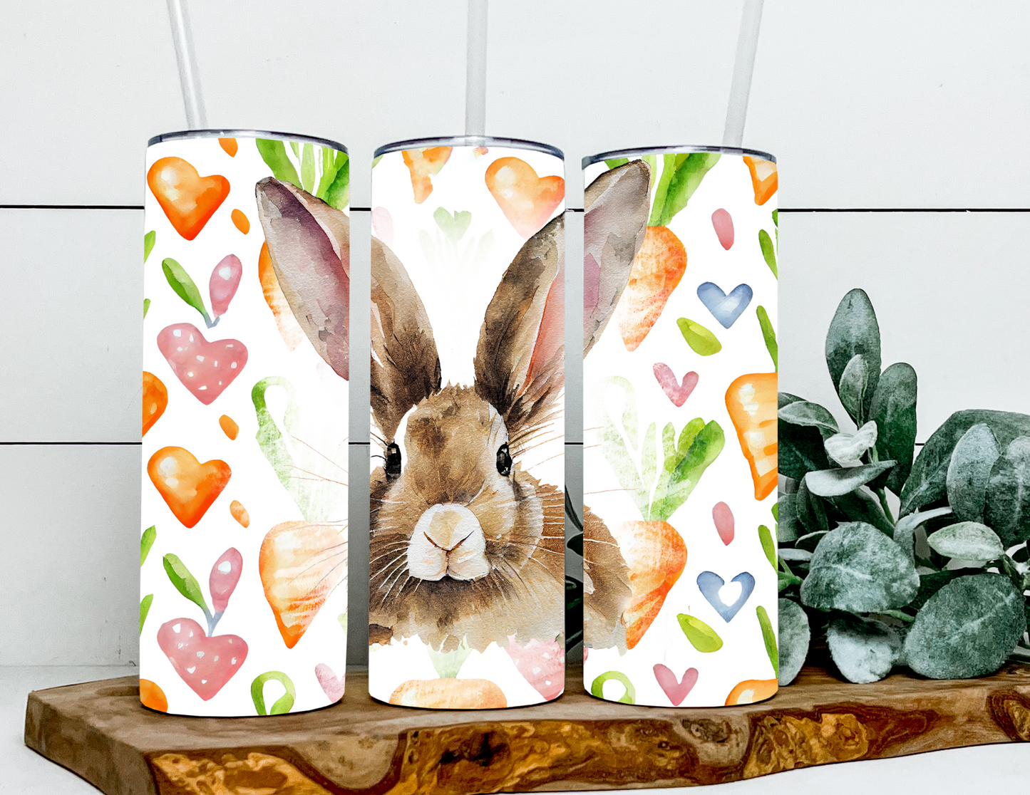 Toney and Carrots Bunny