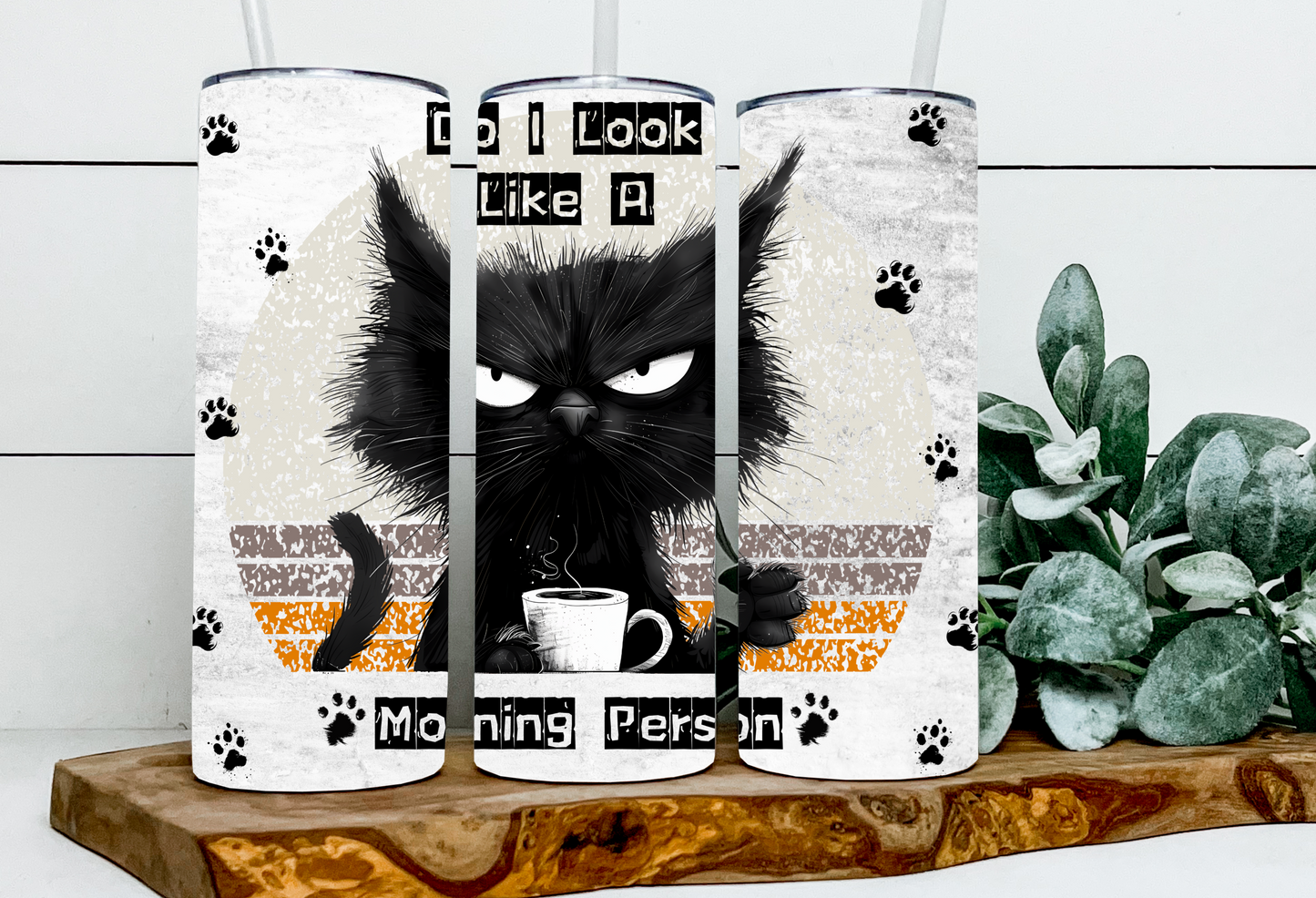 Grant the Do I Look Like a Morning Person Cat