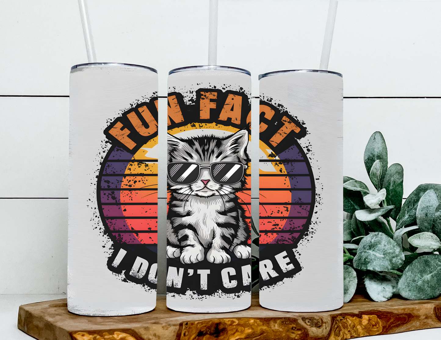 April the Fun Fact Cat