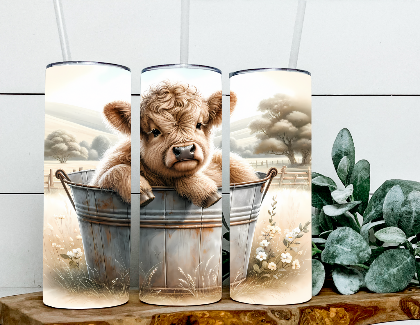 Willie the Baby Bucket Highland