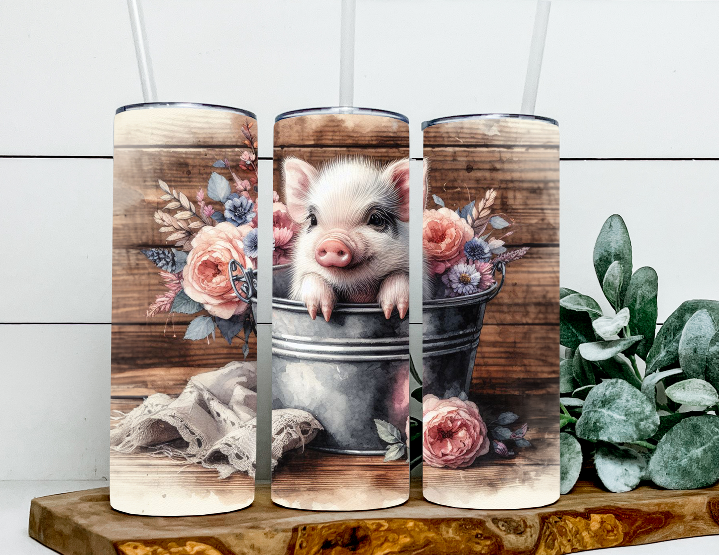 Chasity the Pig In A Bucket