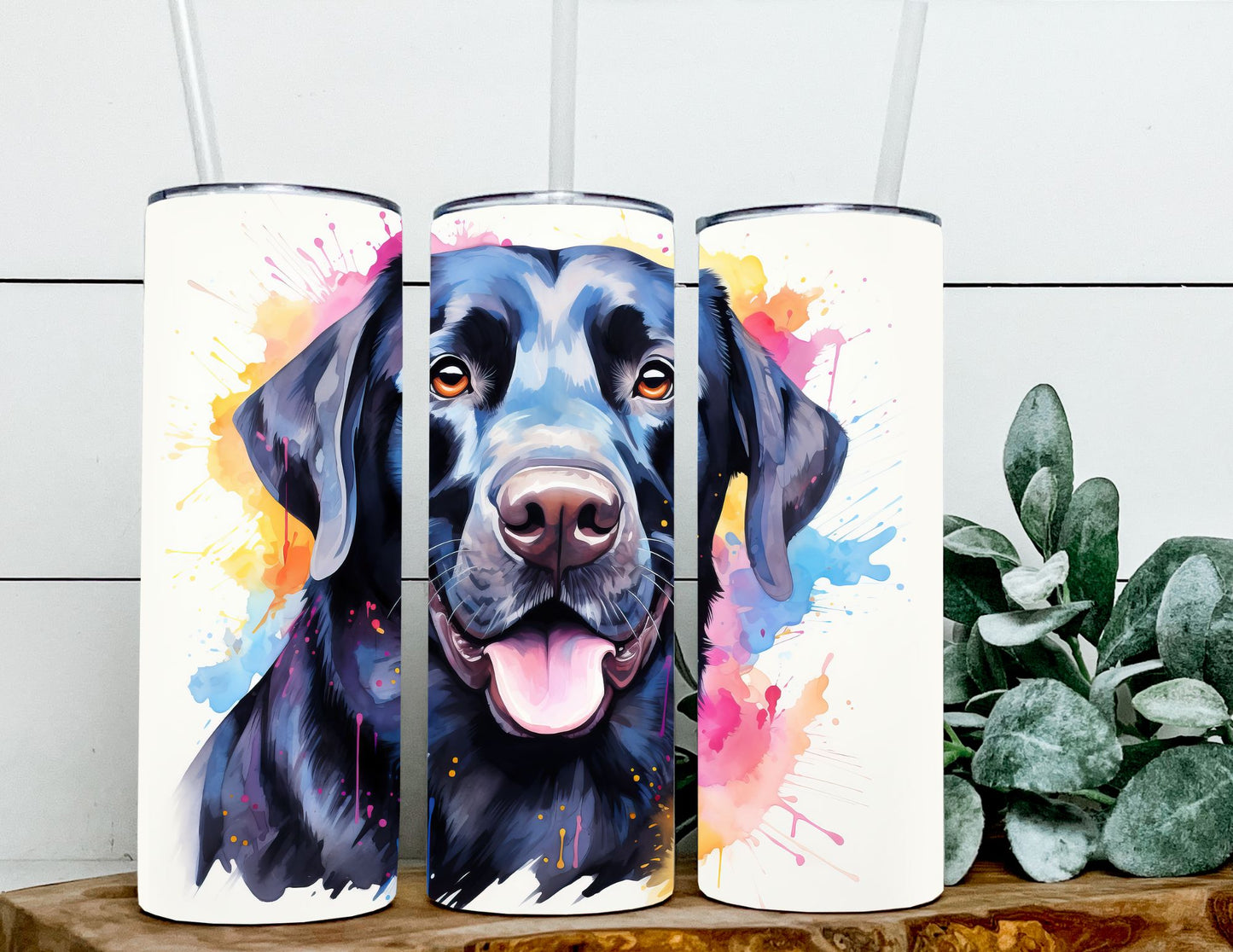 Dog Multi Breed Splatter