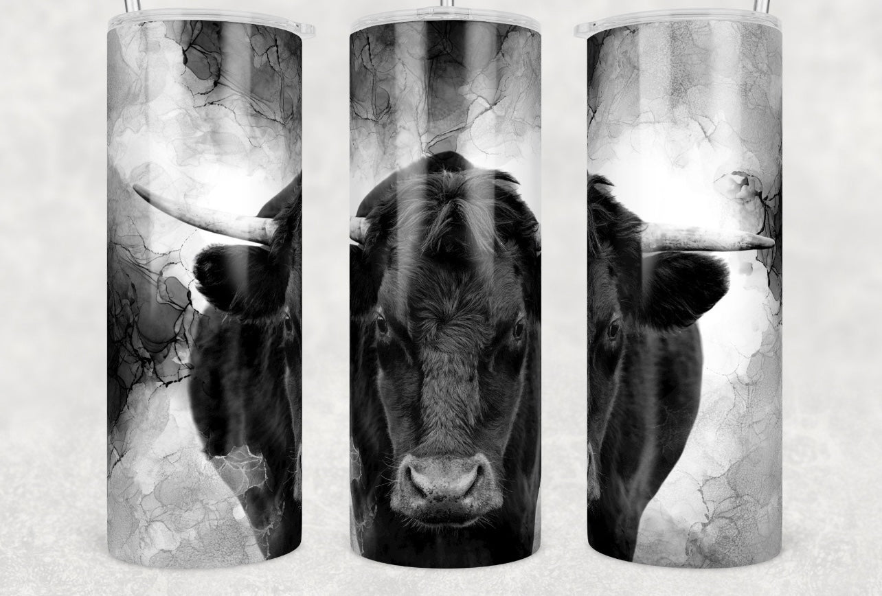 Take No Bull