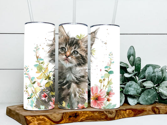 Maine Coon Cats