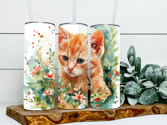 Orange Cat