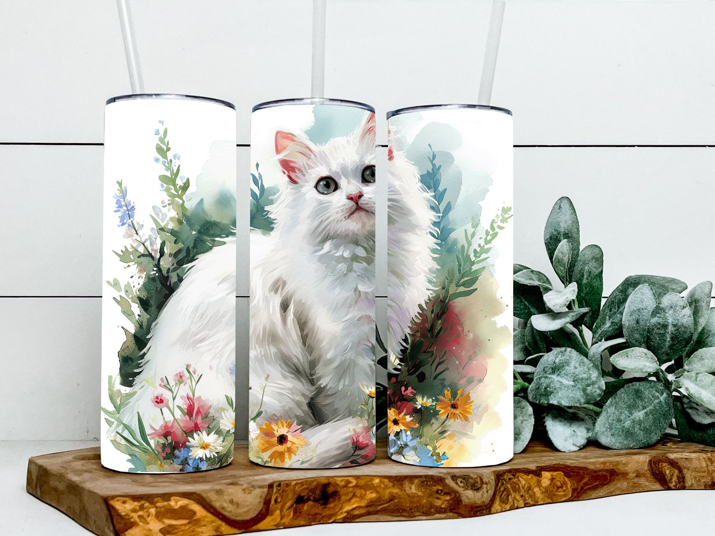 Angora Cat