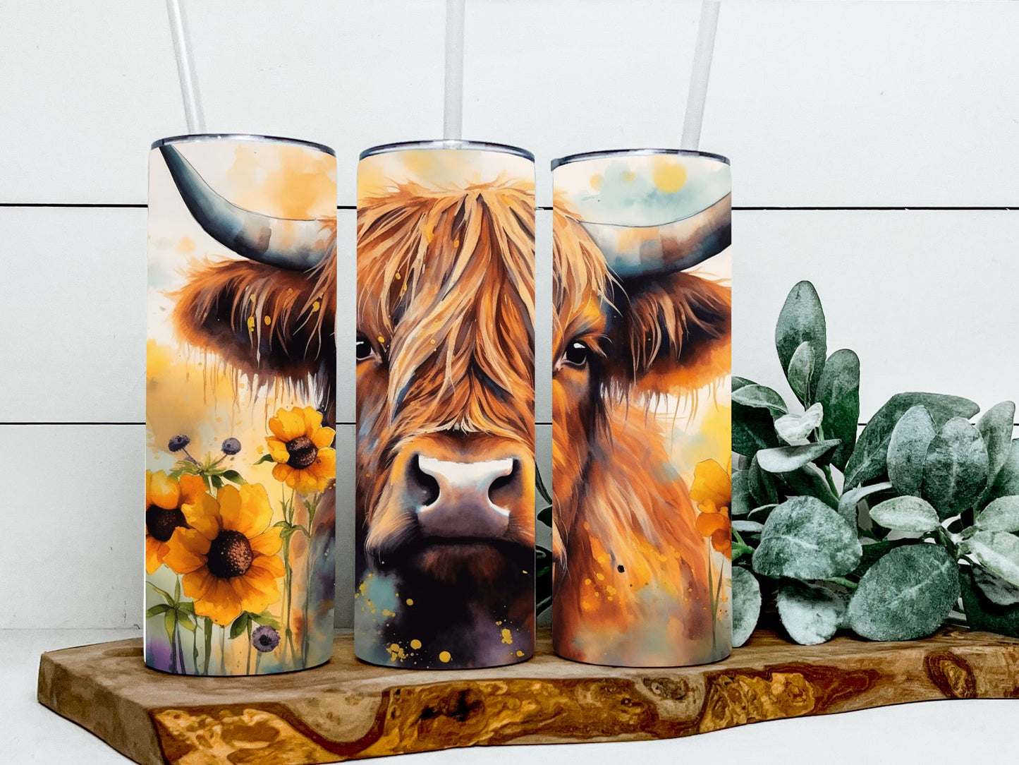 Highland and Sunflowers