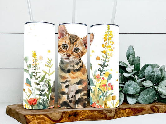 Bengal Cat