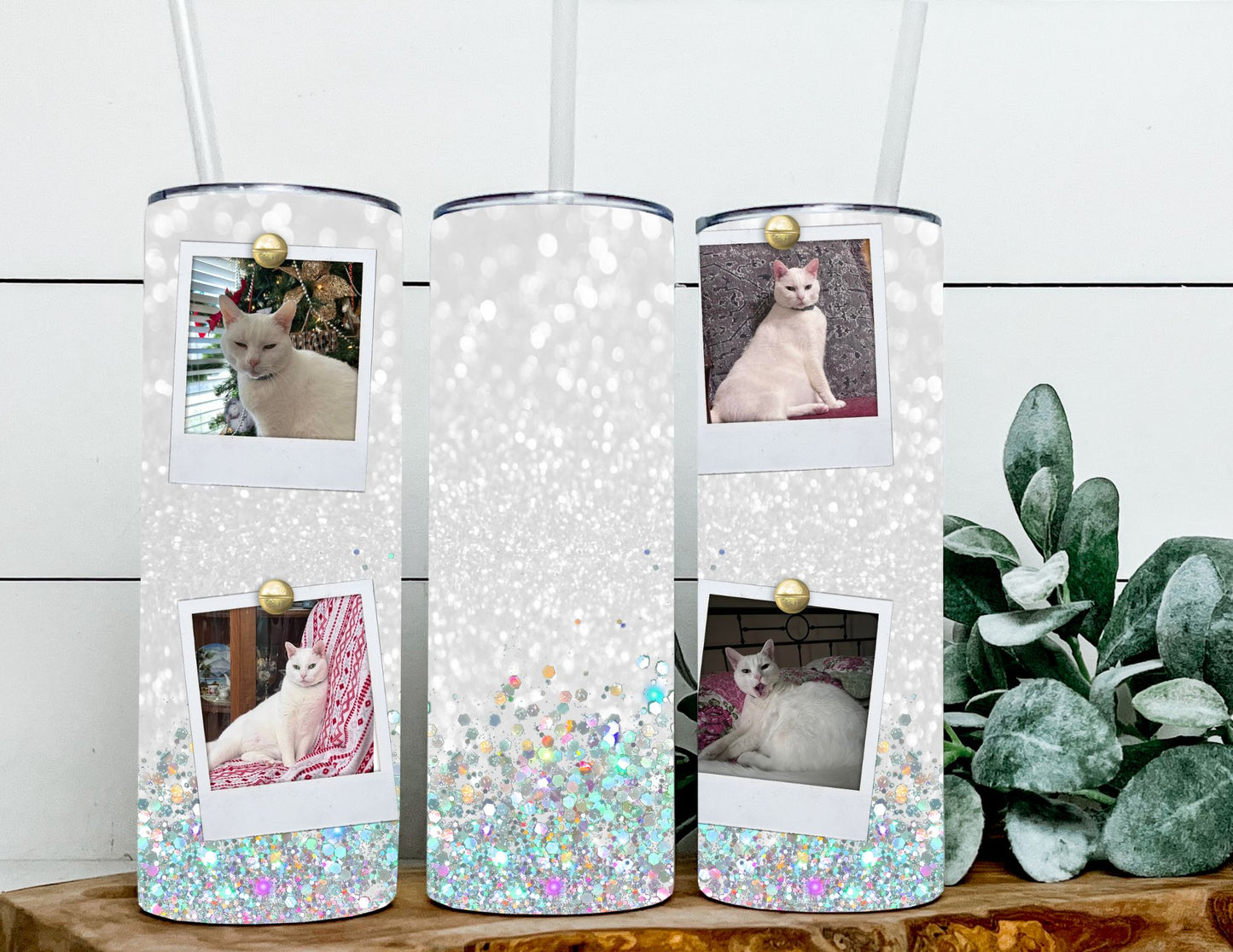 Silver & Rainbow Glitter Photo Tumbler