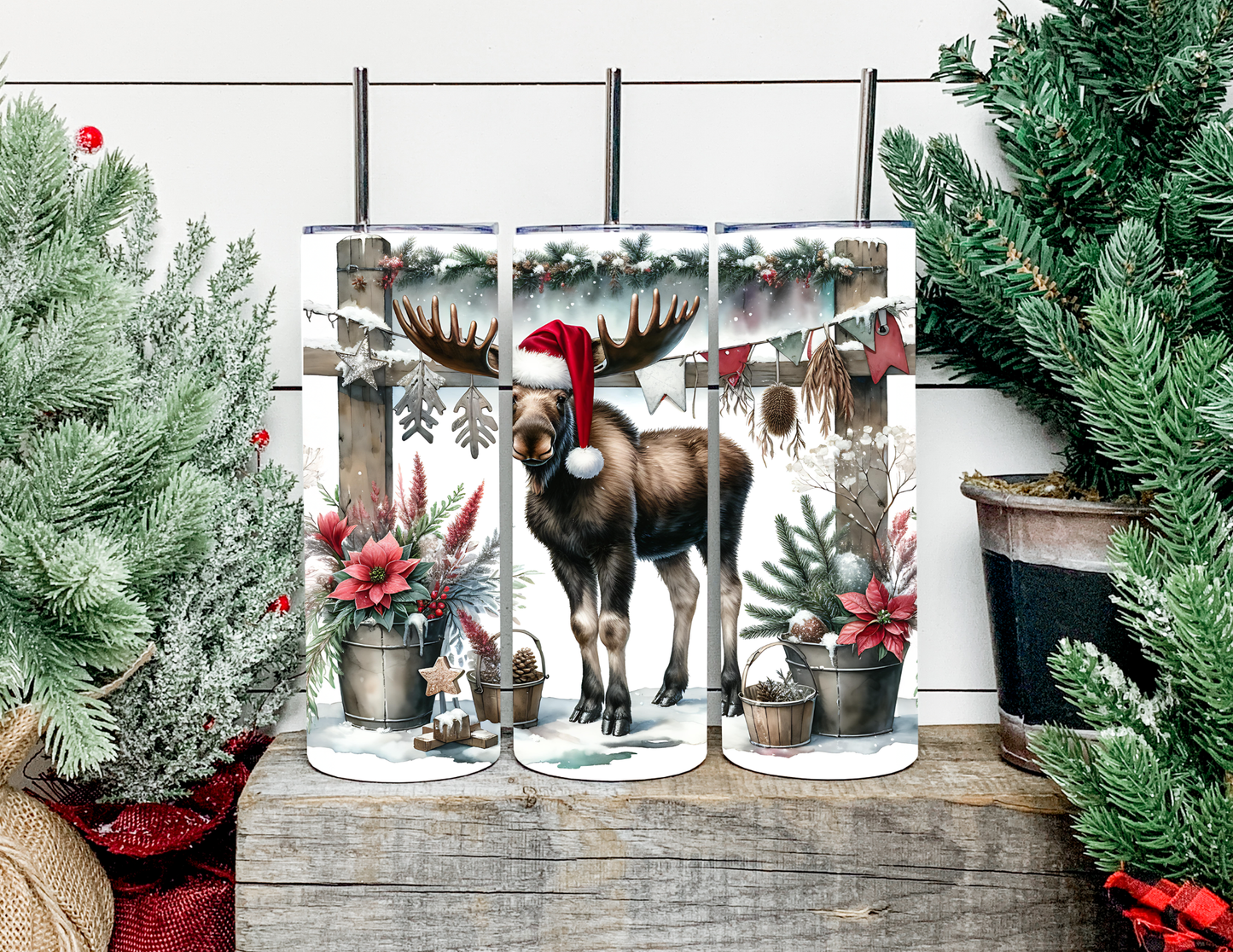 Asher The Christmas Moose