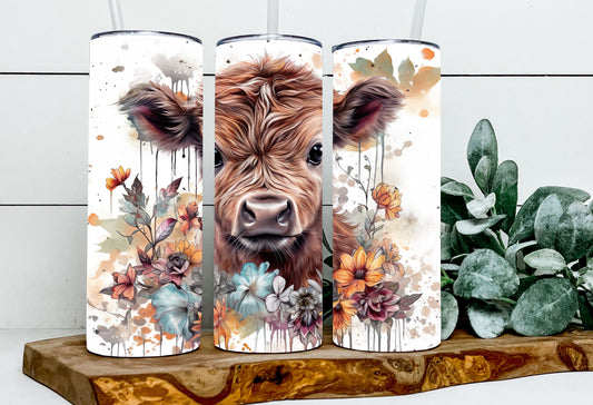 Henrietta the Baby Highland