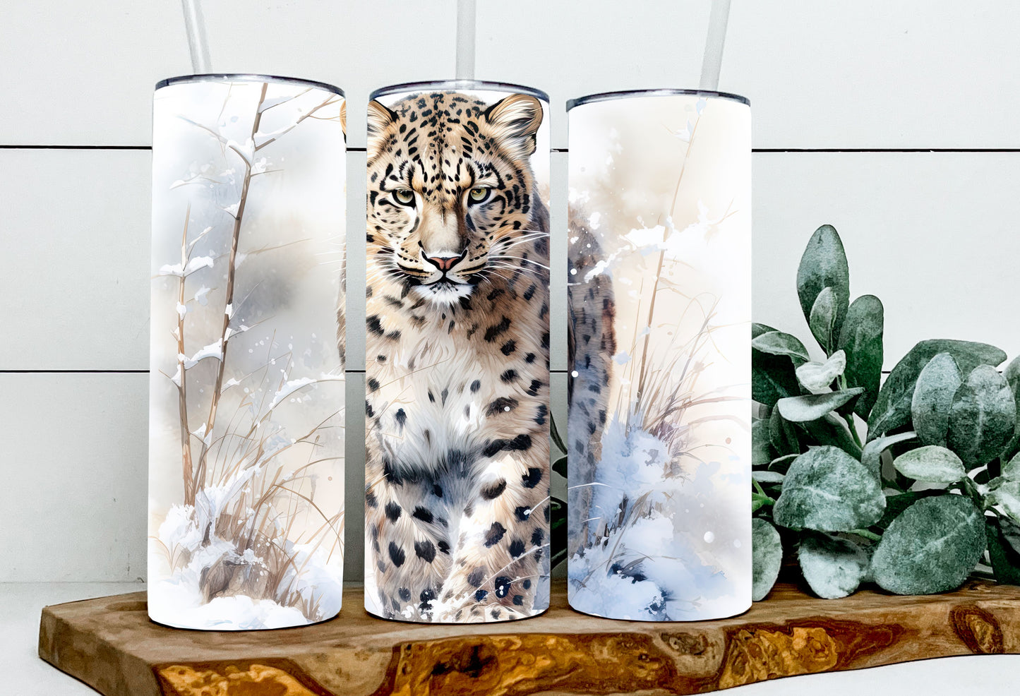 Leo the Leopard