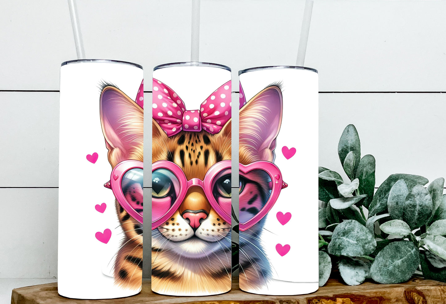 Valentine Cats