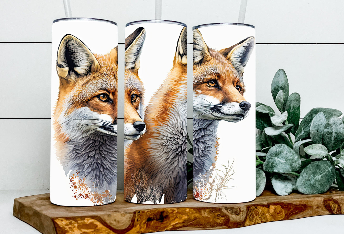 Fancy & Frank the Foxes
