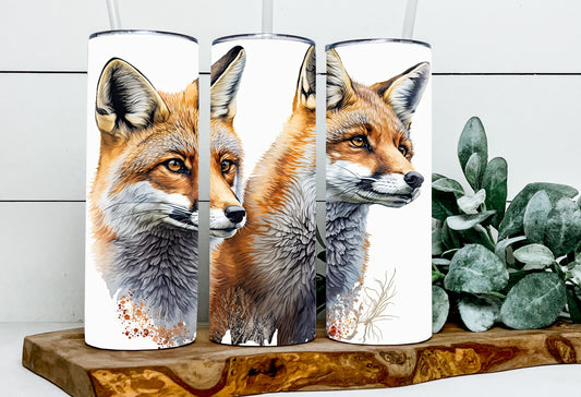 Fancy & Frank the Foxes