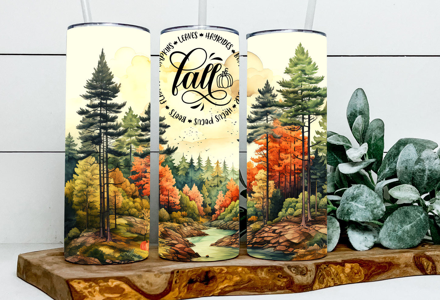 Fall Forest