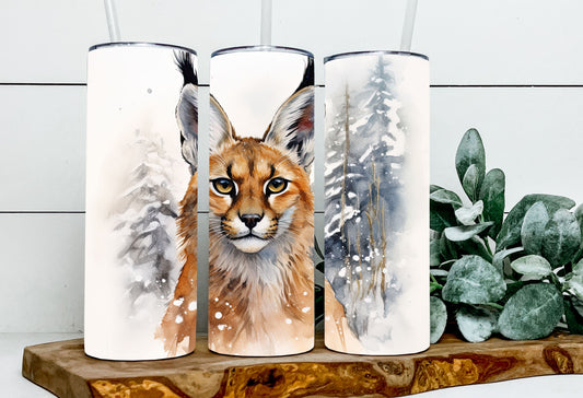 Jensen the Caracal