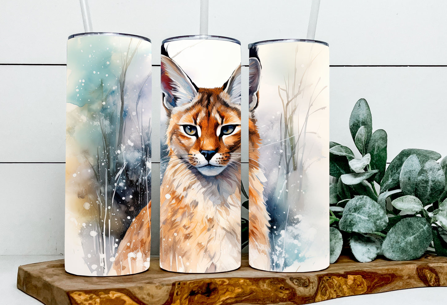 Jensen the Caracal