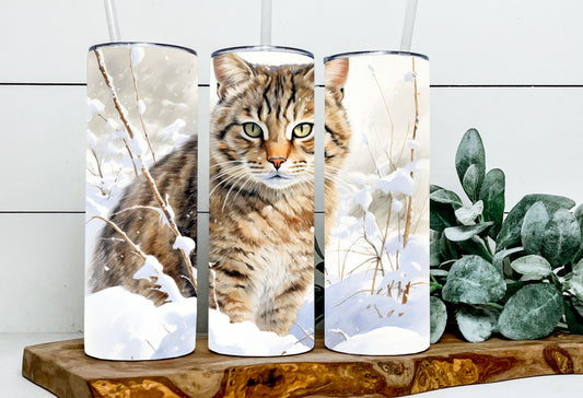 Hope the Wild Cat