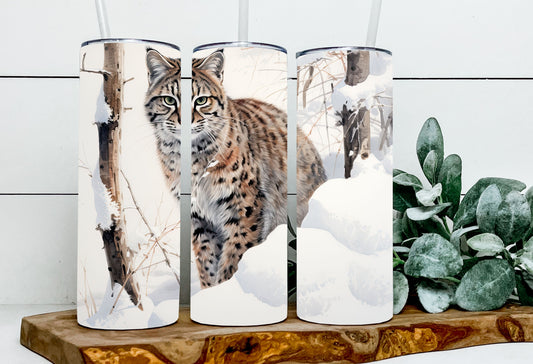 Godfred the Geoffroy Cat