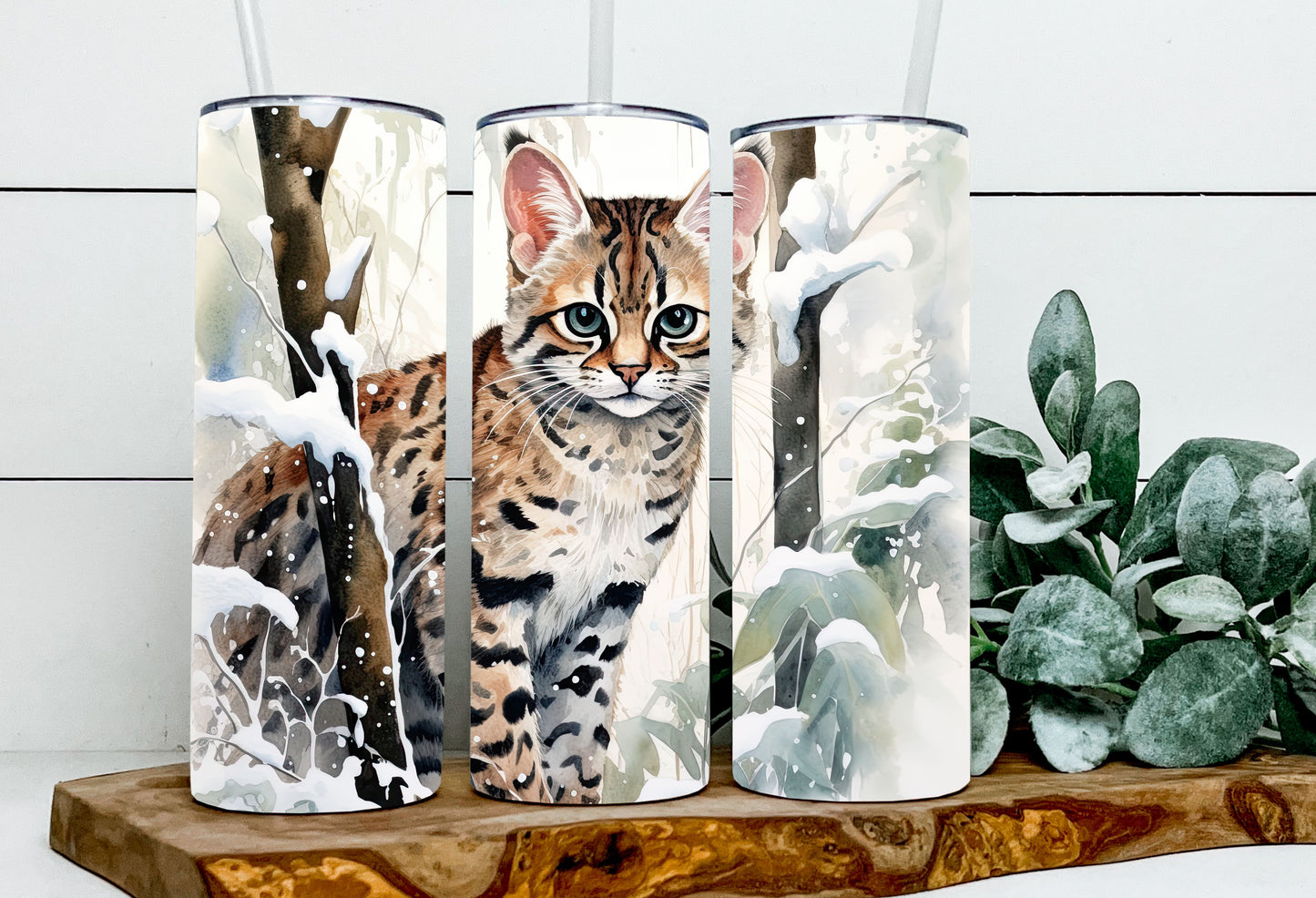Mary the Margay Cat