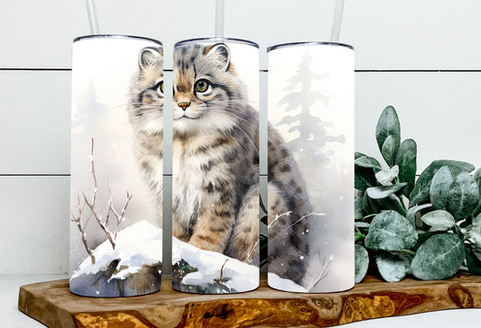Mr. P the Pallas Cat