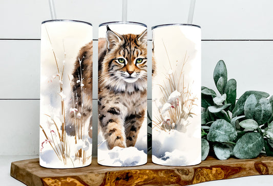 Harry the Pampas Cat