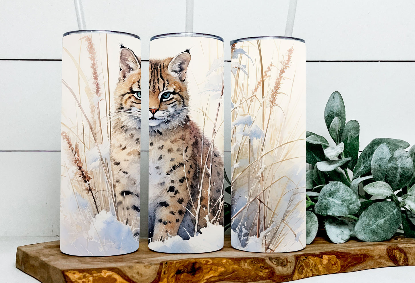 Harry the Pampas Cat