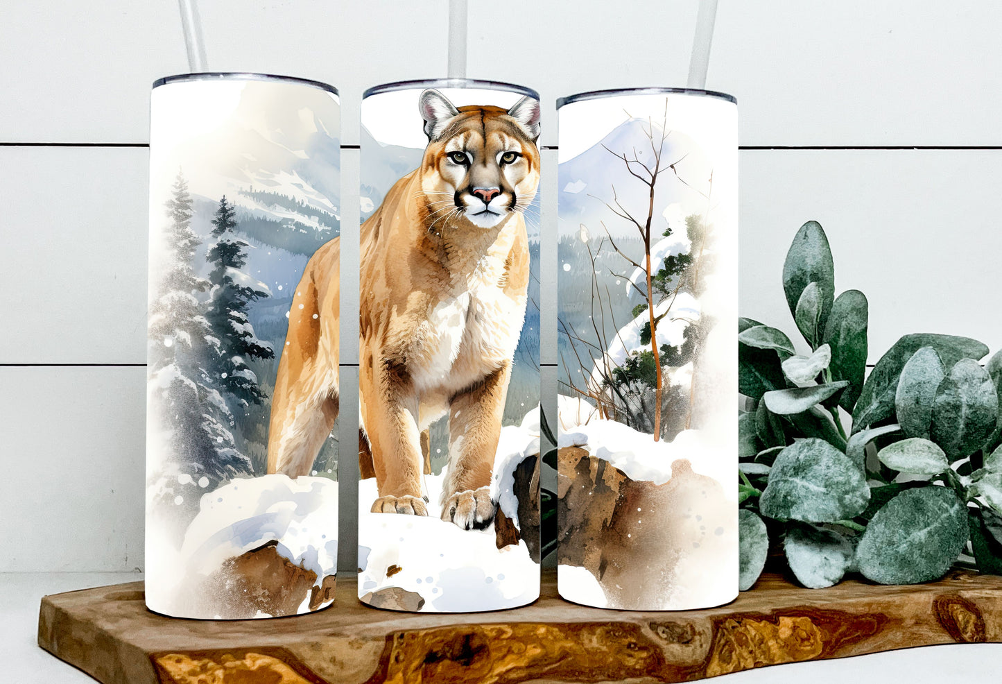 Patina the Puma