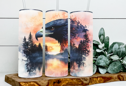 Harvey the Sunset Eagle