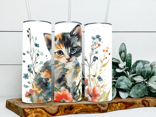 Calico Cat