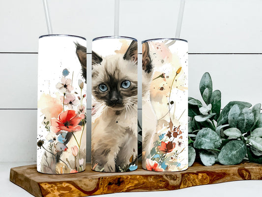 Siamese Cat