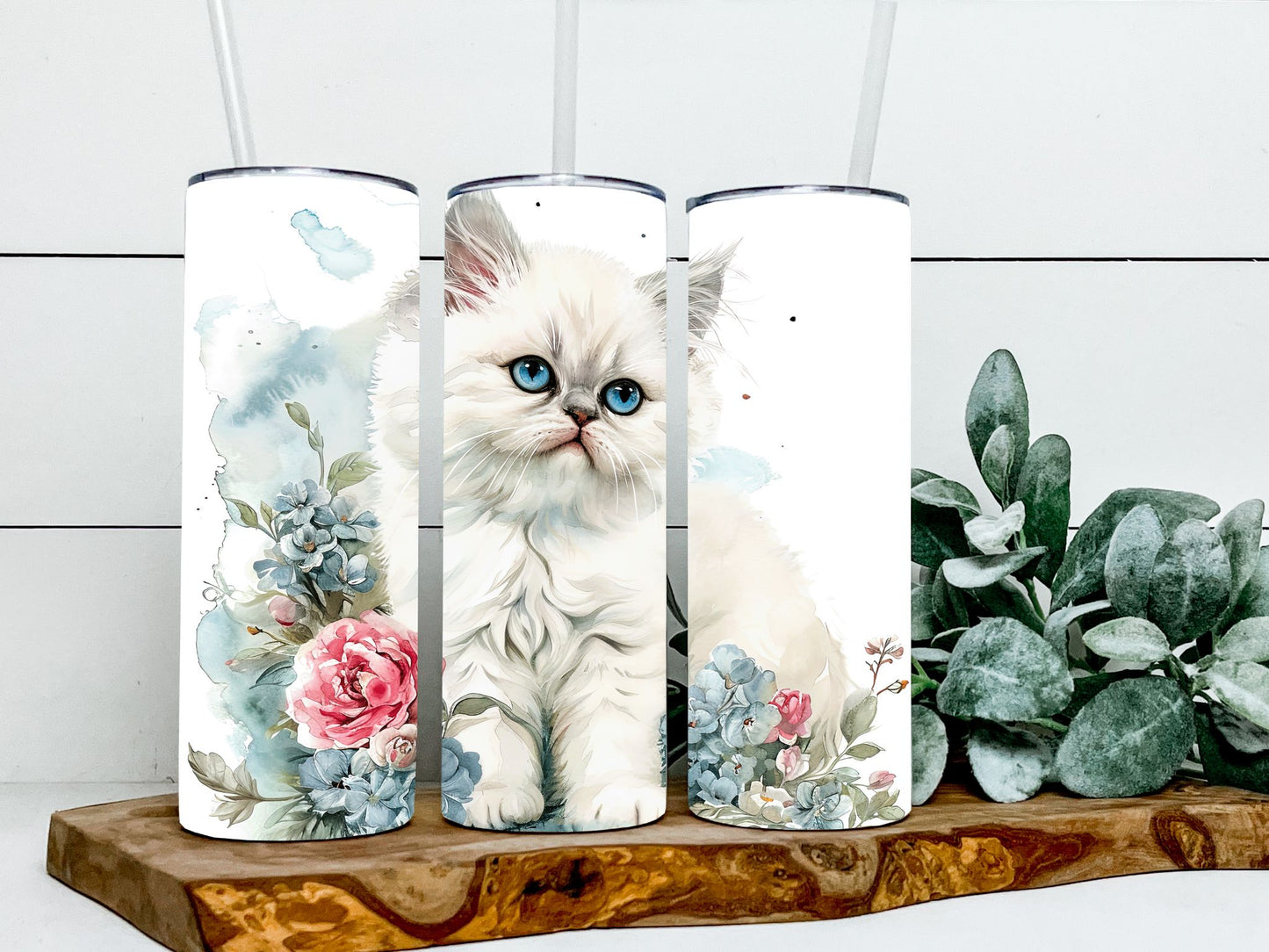Persian Cats