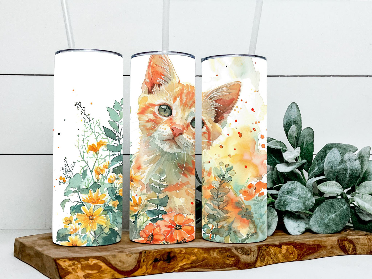 Orange Cat