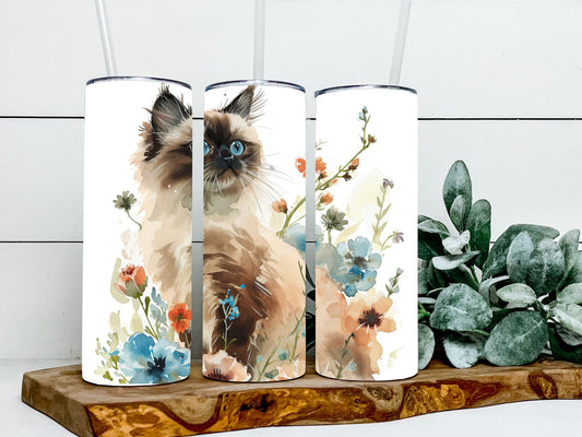 Himalayan Cats