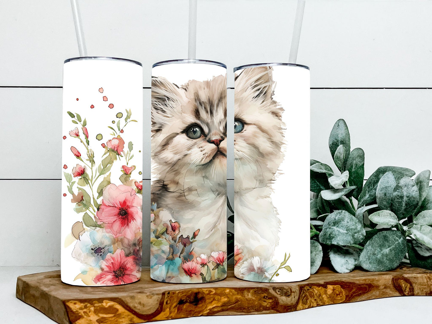 Persian Cats