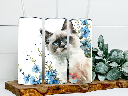 Ragdoll Cat