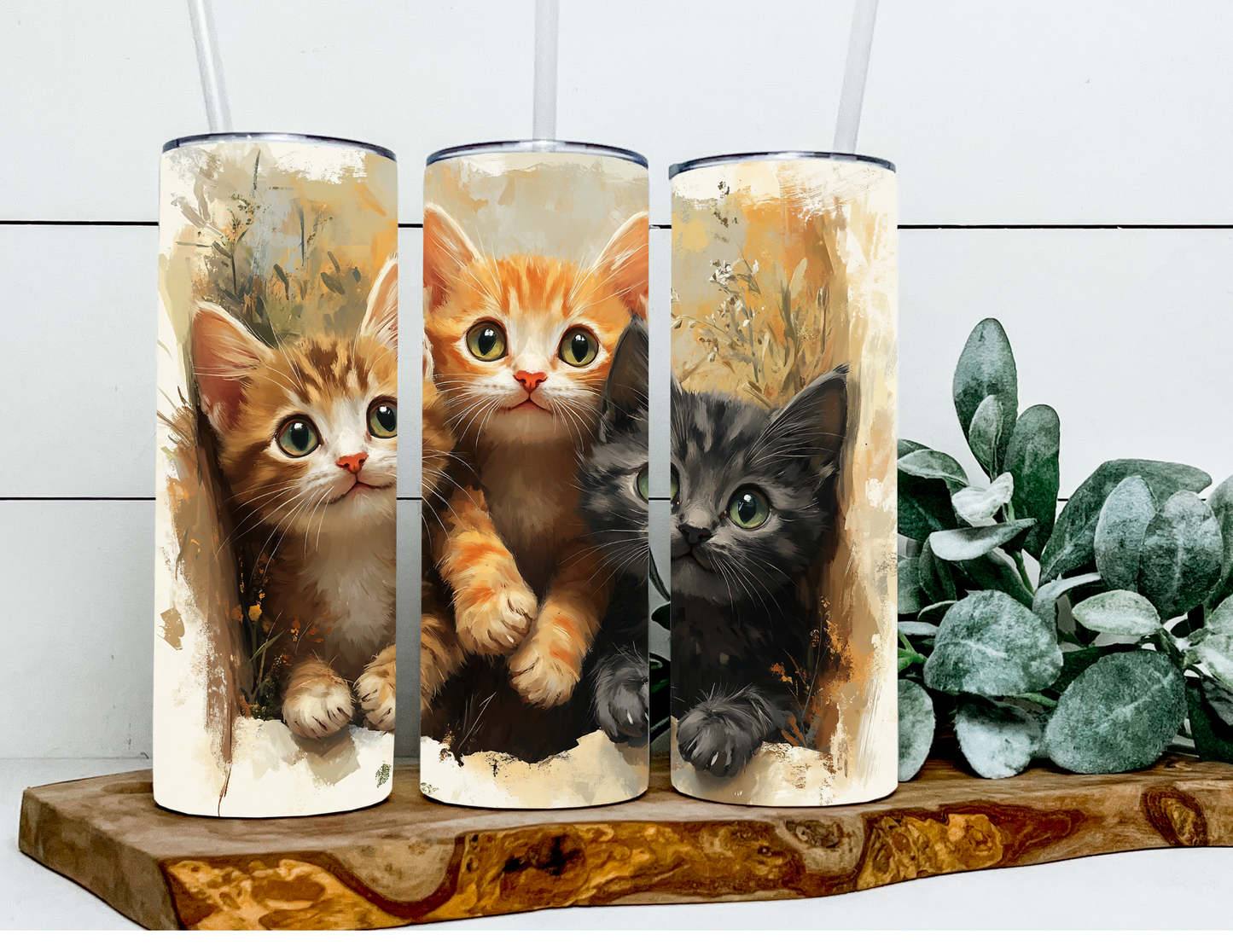 Andy, Sunny, and Dallas The Kittens