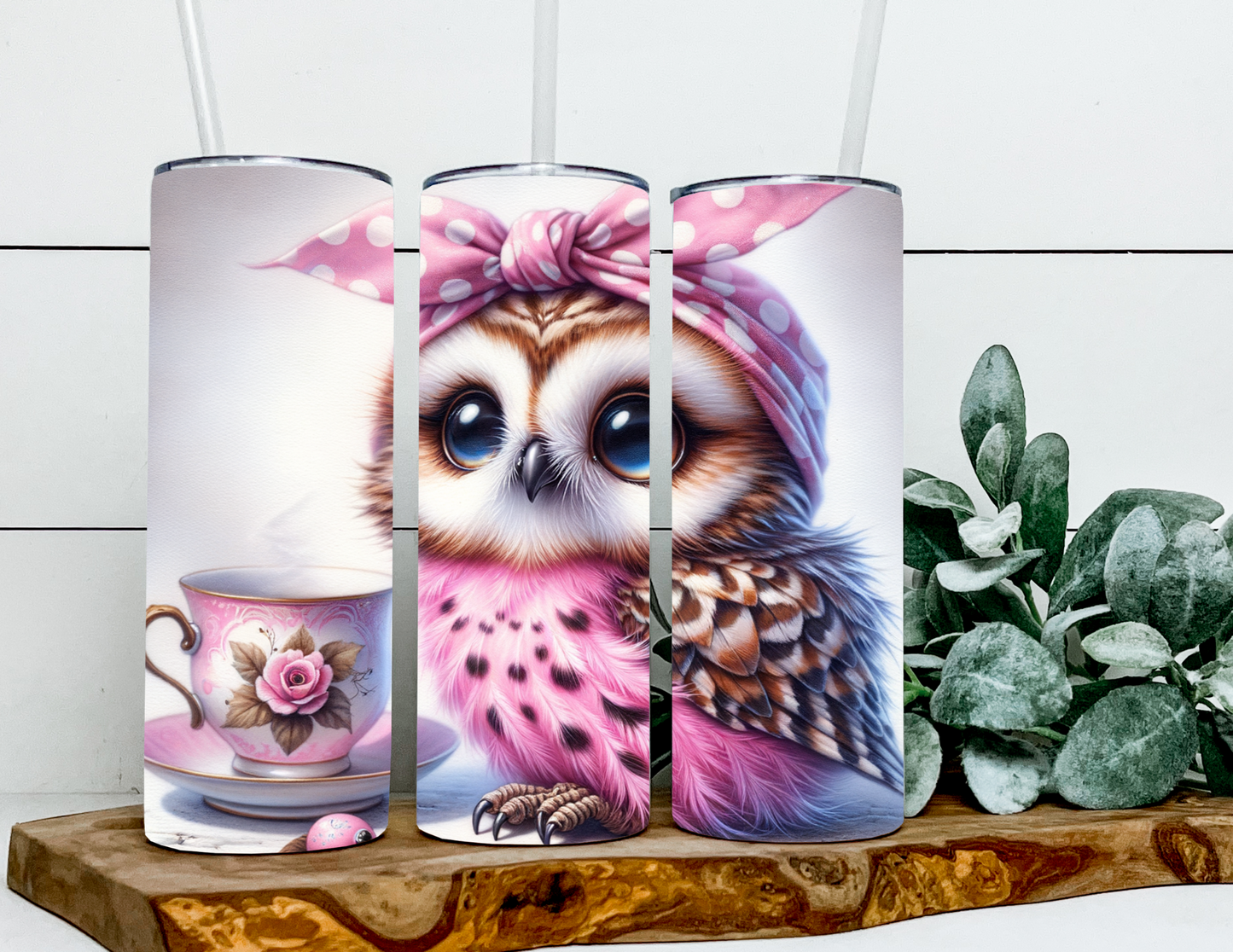 Zoya the Teacup Owl